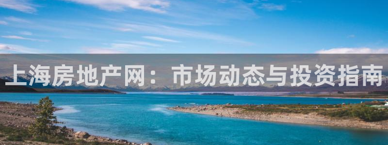 天狮娱乐 a招商67646：上海房地产网：市场动态与投资指南