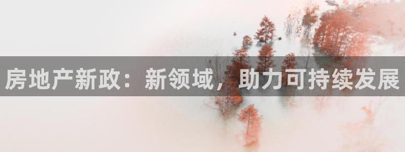 天狮娱乐登陆：房地产新政：新领域，助力可持续发展