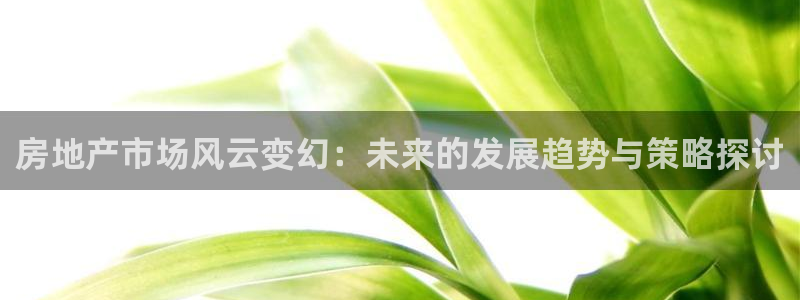 天狮娱乐怎么下载：房地产市场风云变幻：未来的发展趋势与策略探