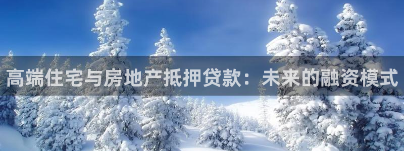 天狮娱乐 b招商61166：高端住宅与房地产抵押贷款：未来的