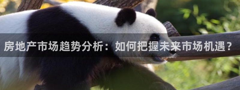 天狮娱乐 b招商67646：房地产市场趋势分析：如何把握未来