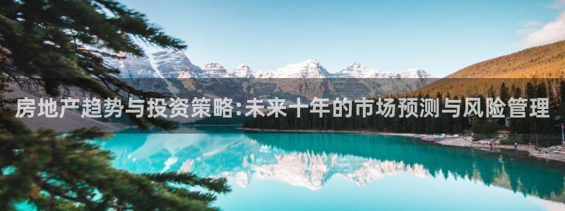 天狮娱乐 注：房地产趋势与投资策略:未来十年的市场预测与风险