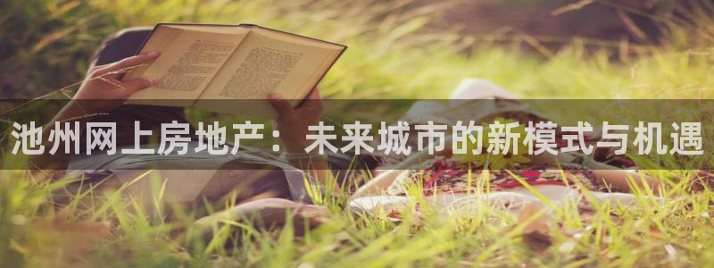 蓝狮娱乐招商天原判官333OO：池州网上房地产：未来城市的新