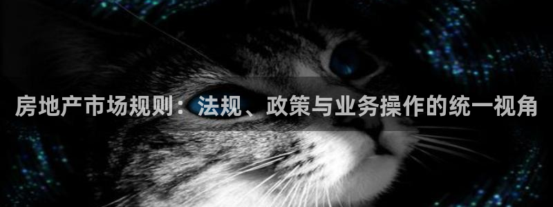 蓝狮娱乐招商天原判官333OO：房地产市场规则：法规、政策与
