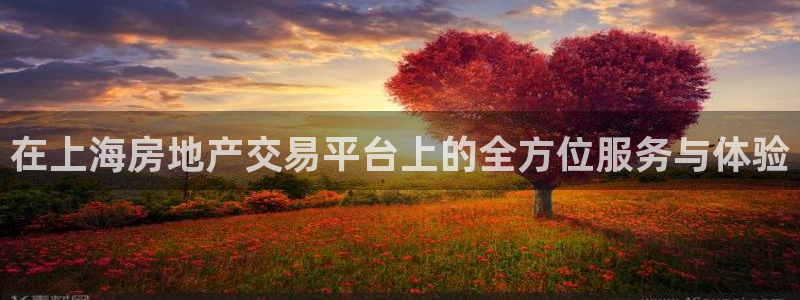 天狮娱乐彩票注册：在上海房地产交易平台上的全方位服务与体验