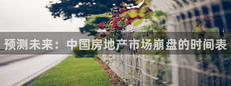 天狮娱乐彩票注册：预测未来：中国房地产市场崩盘的时间表