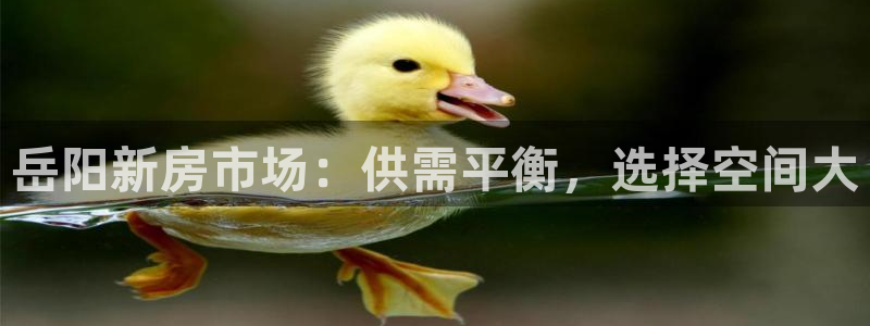 天狮娱乐29e判官333OO：岳阳新房市场：供需平衡，选择空