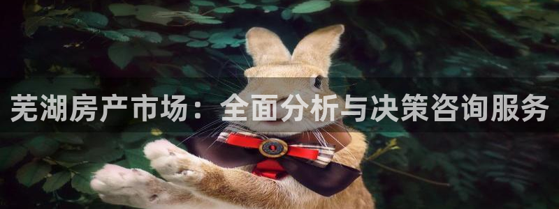 天狮天狮娱乐下载：芜湖房产市场：全面分析与决策咨询服务