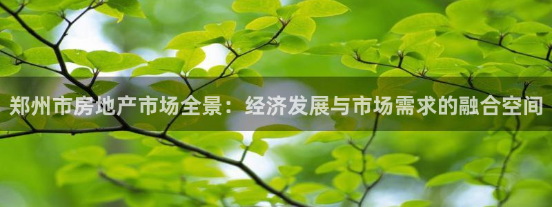 天狮娱乐怎么做代理：郑州市房地产市场全景：经济发展与市场需求