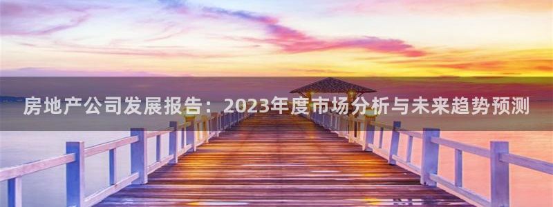 天狮娱乐违法行为：房地产公司发展报告：2023年度市场分析与