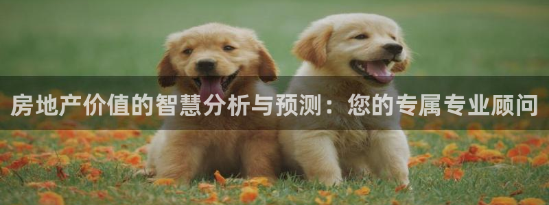 天狮娱乐挂机：房地产价值的智慧分析与预测：您的专属专业顾问