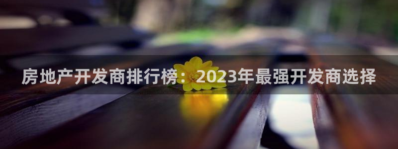 天狮娱乐玩法：房地产开发商排行榜：2023年最强开发商选择