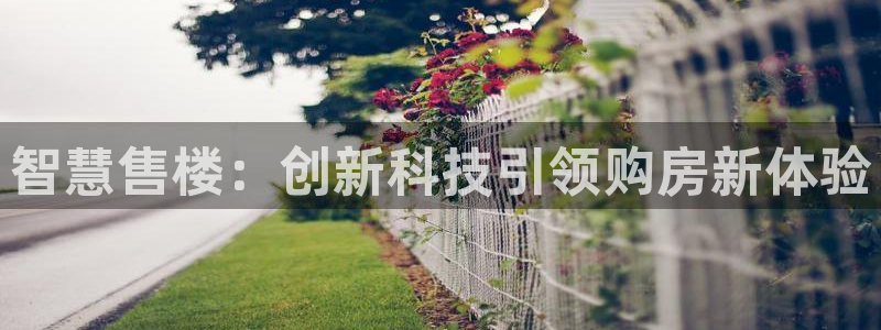 天狮娱乐招代理：智慧售楼：创新科技引领购房新体验