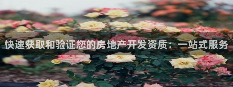 龙湖狮山天街娱乐：快速获取和验证您的房地产开发资质：一站式服