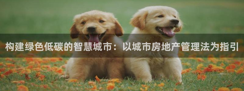 天狮娱乐专线：构建绿色低碳的智慧城市：以城市房地产管理法为指