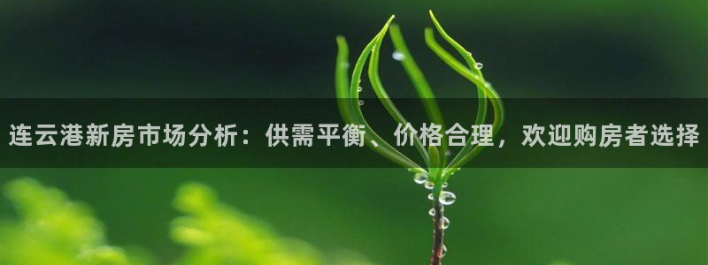 天狮娱乐- 0 招a商：连云港新房市场分析：供需平衡、价格合