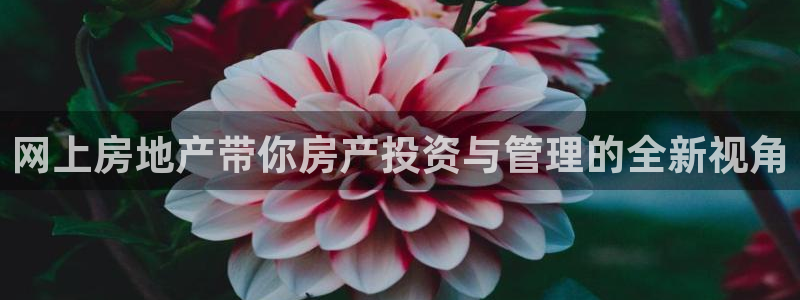 天狮娱乐是什么意思