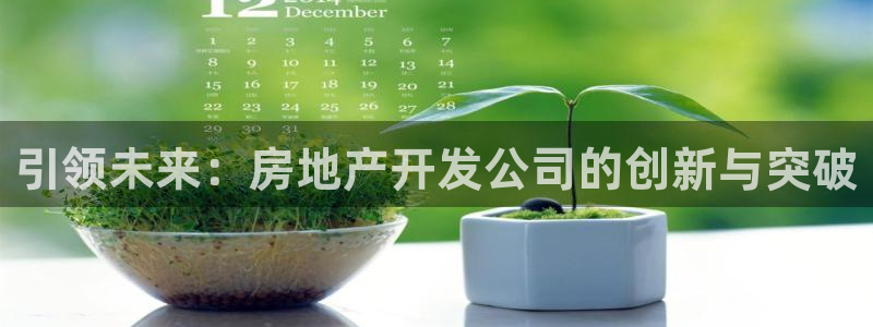 天狮娱乐招代理：引领未来：房地产开发公司的创新与突破