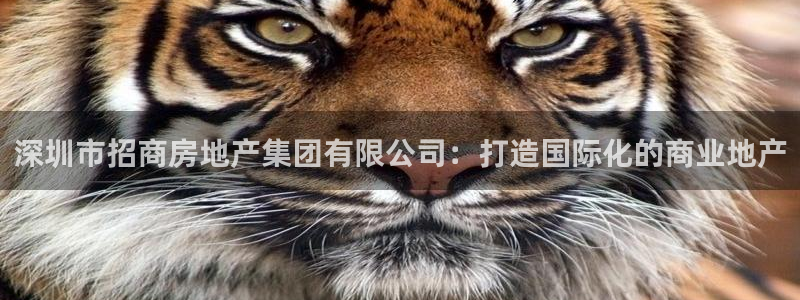 天狮娱乐 股31661东r：深圳市招商房地产集团有限公司：打
