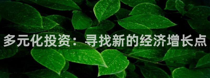 天狮娱乐33673 q实力：多元化投资：寻找新的经济增长点