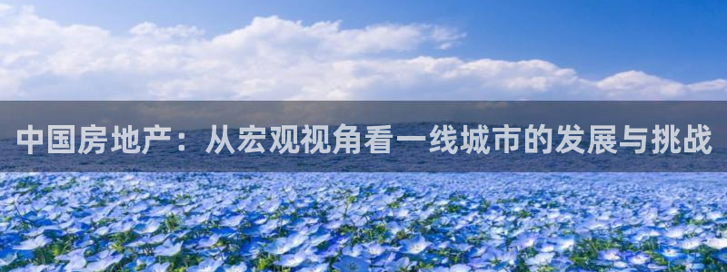 天狮娱乐嘉扣 o：中国房地产：从宏观视角看一线城市的发展与挑