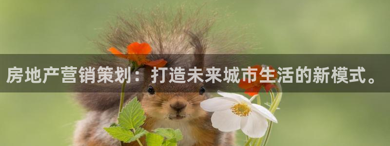 天狮天狮娱乐娱乐q：房地产营销策划：打造未来城市生活的新模式