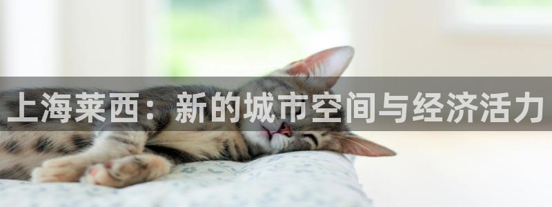 天狮娱乐是正规平台吗：上海莱西：新的城市空间与经济活力