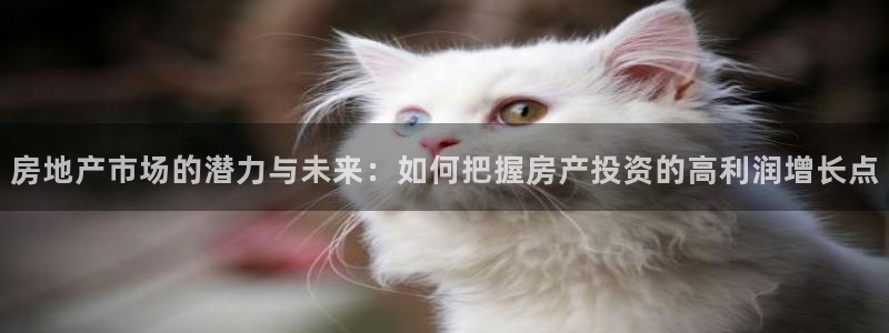 天狮娱乐60447股东：房地产市场的潜力与未来：如何把握房产