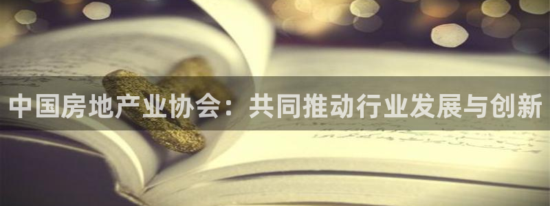 天狮娱乐 接待 0：中国房地产业协会：共同推动行业发展与创新