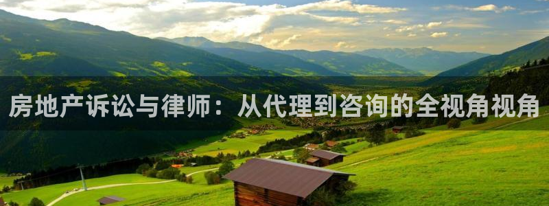 天狮娱乐招商36633：房地产诉讼与律师：从代理到咨询的全视