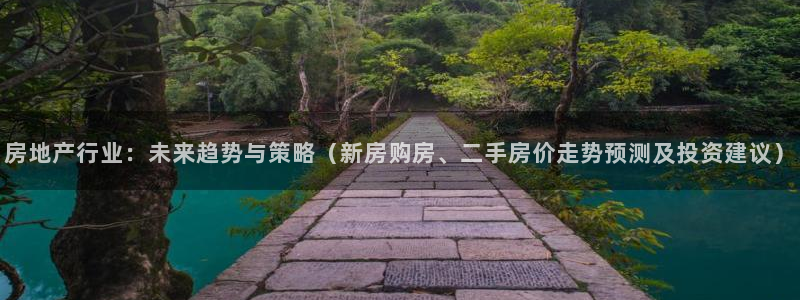 天狮娱乐学：房地产行业：未来趋势与策略（新房购房、二手房价走