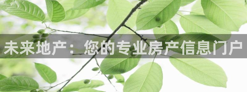 天狮娱乐 148-27：未来地产：您的专业房产信息门户