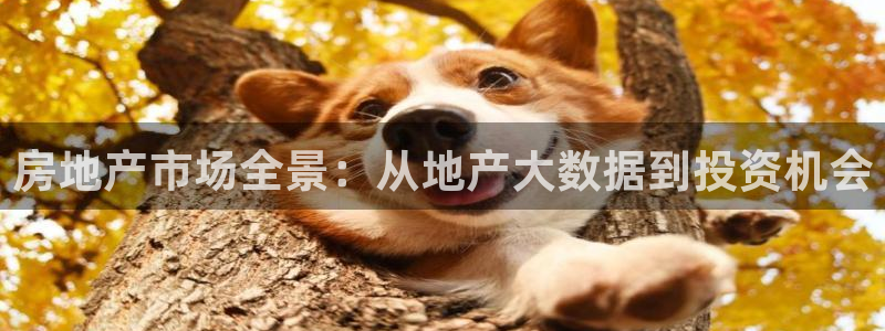 天狮娱乐d 判官：房地产市场全景：从地产大数据到投资机会