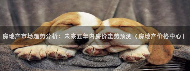 天狮娱乐股东待遇：房地产市场趋势分析：未来五年内房价走势预测