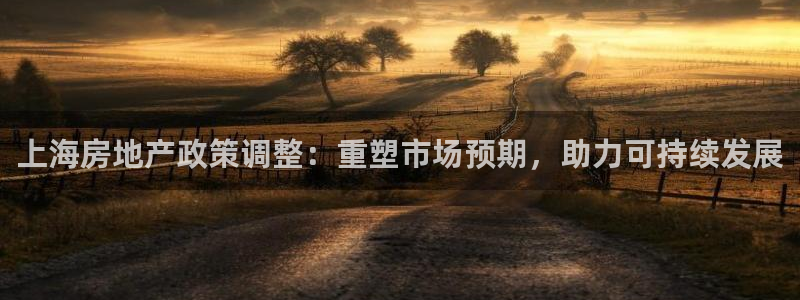 龙湖狮山天街娱乐：上海房地产政策调整：重塑市场预期，助力可持