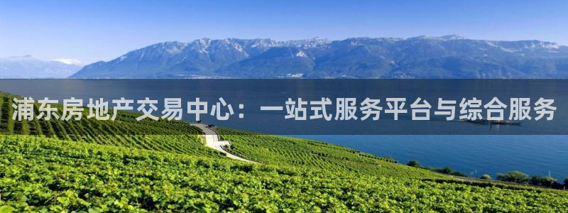 天狮娱乐股东招商：浦东房地产交易中心：一站式服务平台与综合服