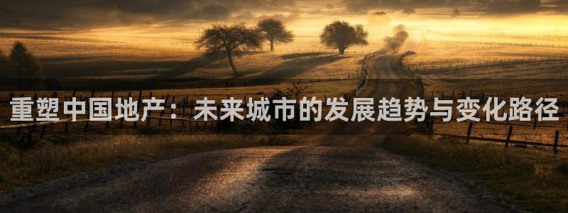 天狮娱乐手机挂机：重塑中国地产：未来城市的发展趋势与变化路径