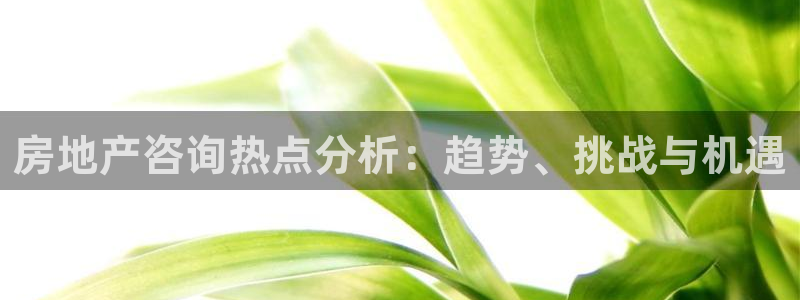 天狮娱乐主管：房地产咨询热点分析：趋势、挑战与机遇