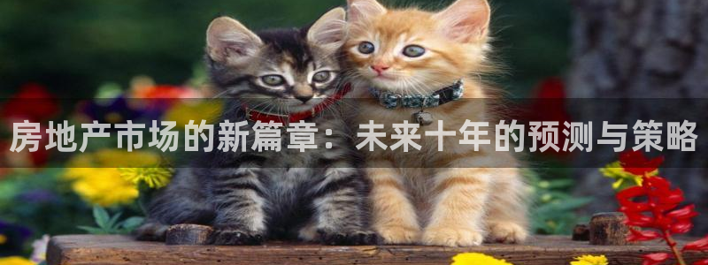 天狮娱乐彩票：房地产市场的新篇章：未来十年的预测与策略