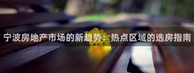 天狮娱乐代理首页：宁波房地产市场的新趋势：热点区域的选房指南