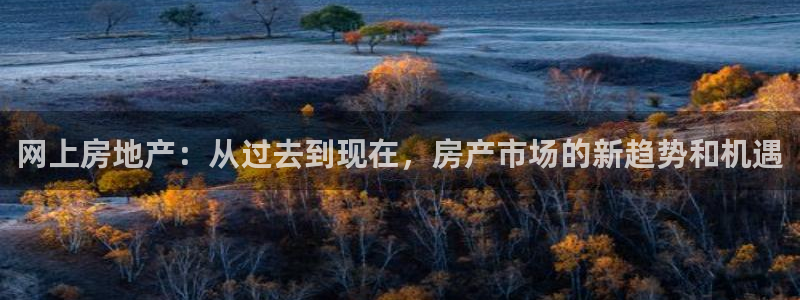 天狮娱乐彩票：网上房地产：从过去到现在，房产市场的新趋势和机