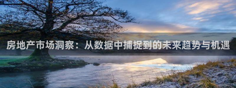 天狮娱乐分分彩平台：房地产市场洞察：从数据中捕捉到的未来趋势