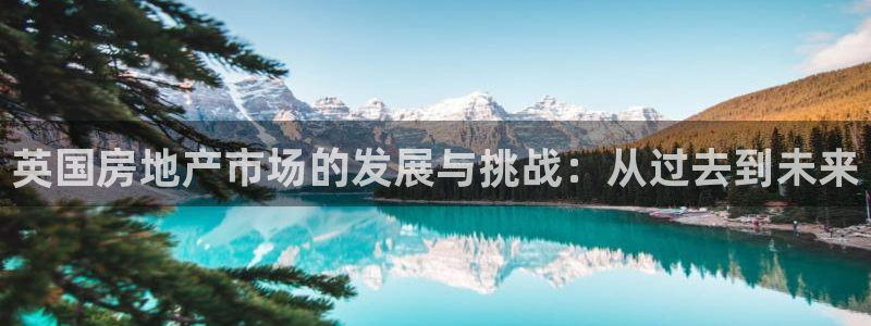 天狮娱乐无法登录怎么办：英国房地产市场的发展与挑战：从过去到