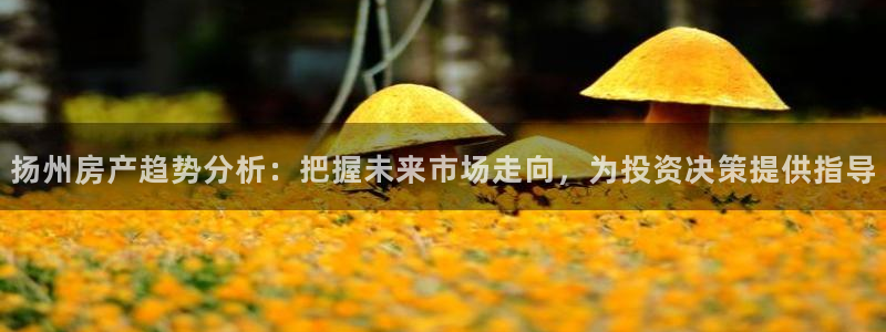天狮娱乐会所：扬州房产趋势分析：把握未来市场走向，为投资决策