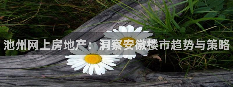 南京天狮娱乐会所：池州网上房地产：洞察安徽楼市趋势与策略