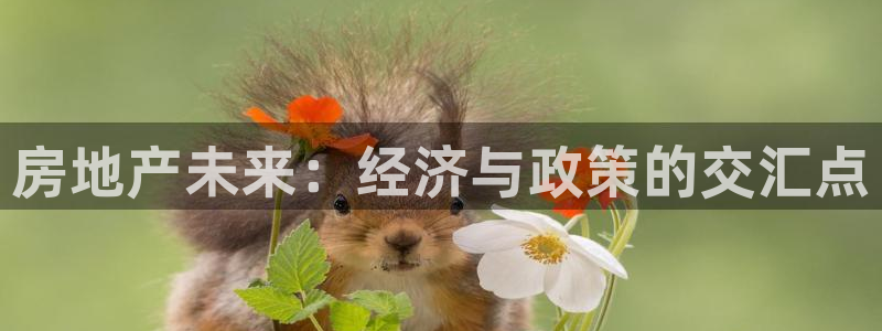 天狮娱乐 招商扣：房地产未来：经济与政策的交汇点