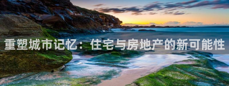 天狮娱乐 23976实z力：重塑城市记忆：住宅与房地产的新可