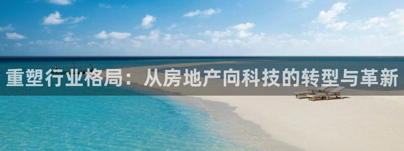 天狮娱乐能赚钱吗：重塑行业格局：从房地产向科技的转型与革新