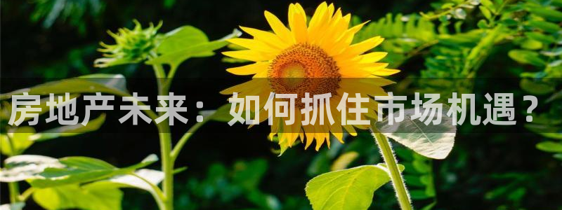天狮娱乐股东88383：房地产未来：如何抓住市场机遇？