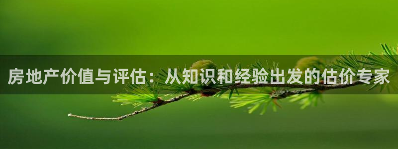 天狮娱乐下载：房地产价值与评估：从知识和经验出发的估价专家